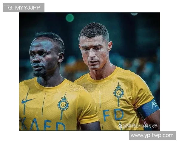 马内的足球传奇之路：从塞内加尔小镇到欧洲顶级联赛的辉煌历程