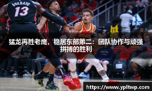 猛龙再胜老鹰，稳居东部第二：团队协作与顽强拼搏的胜利