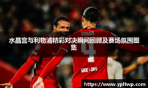 芒果体育官网