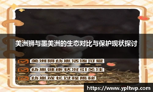 美洲狮与墨美洲的生态对比与保护现状探讨